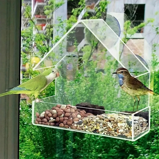 Hanging Bird Feeder