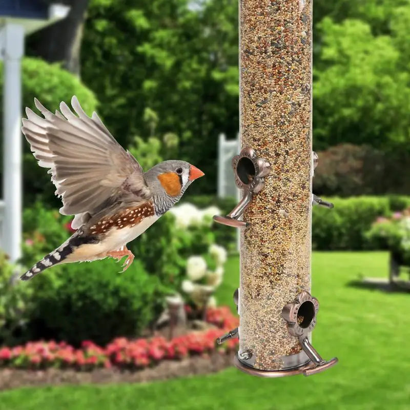 Wild Bird Hanging Feeder