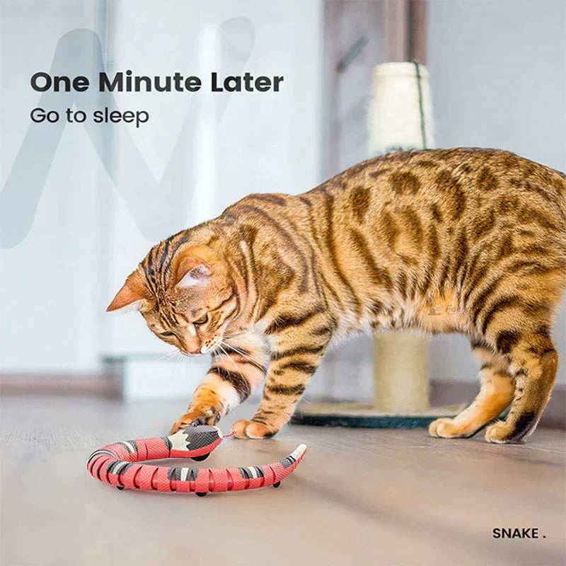 Smart Sensing Snake Cat Toy