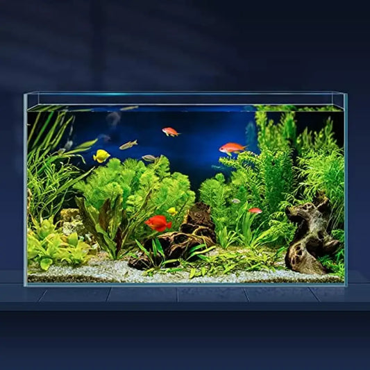 10 Gallon Aquarium Set