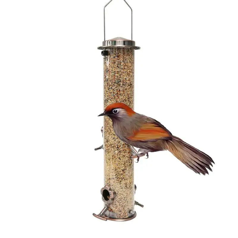 Wild Bird Hanging Feeder