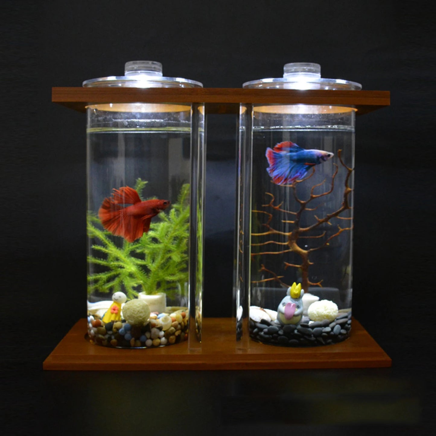 Mini Goldfish Bamboo Tank