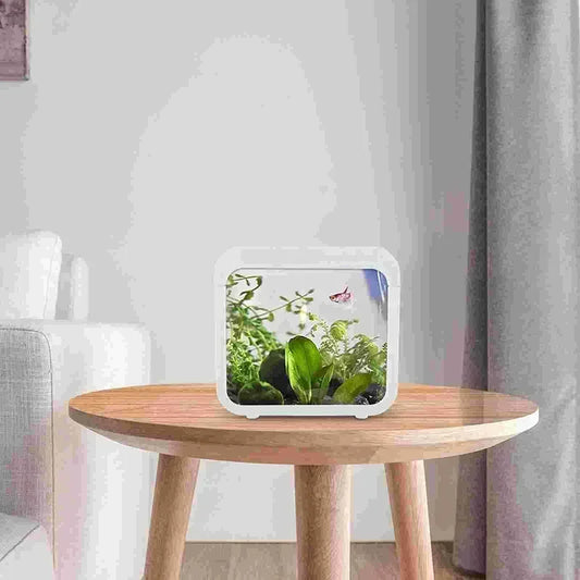 Mini Transparent fish tank