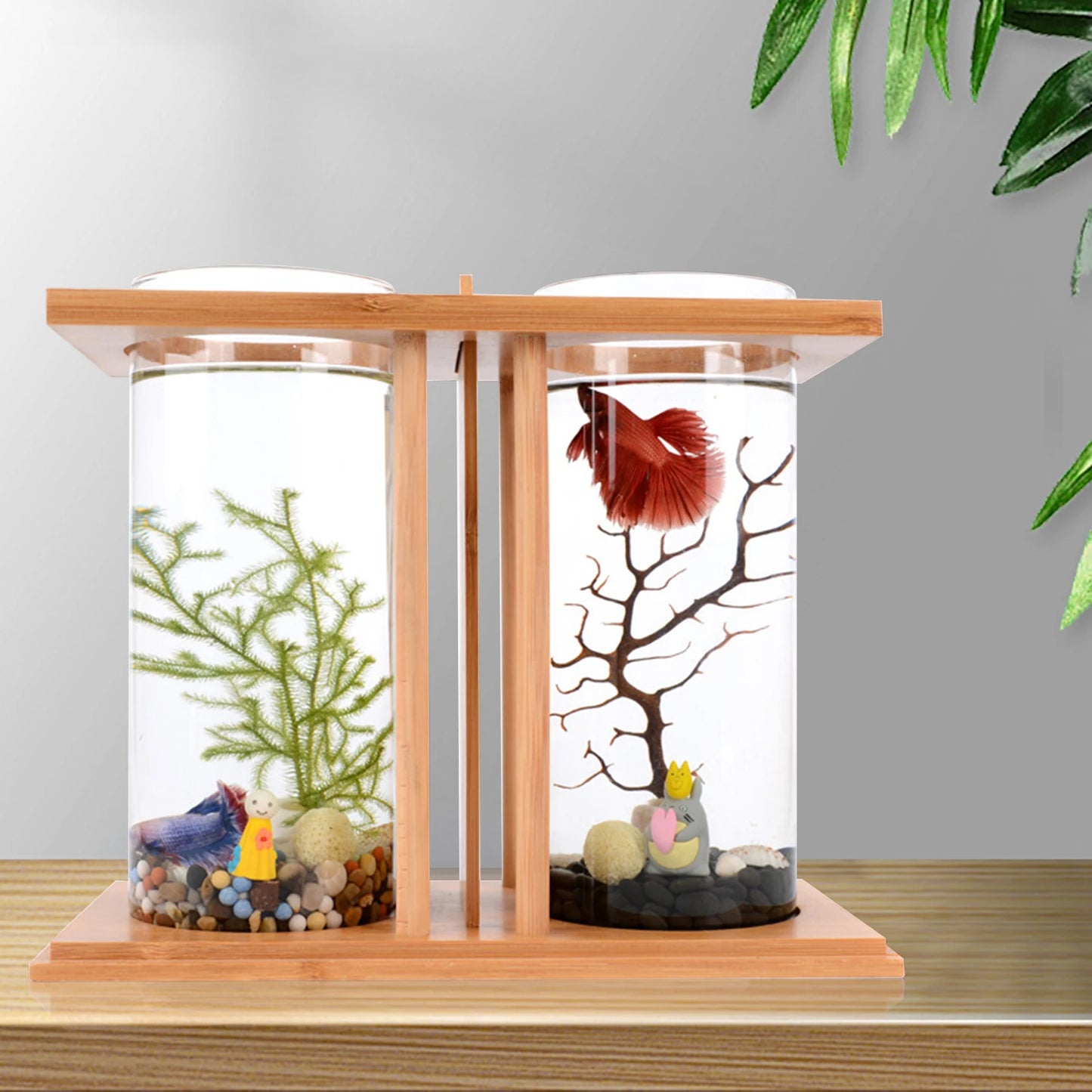 Mini Goldfish Bamboo Tank