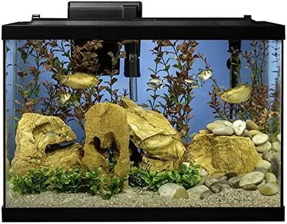 20 Gallon Fish Tank Kit