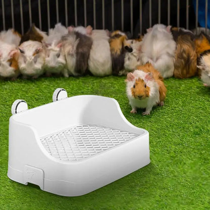 Small Rabbit Litter Box