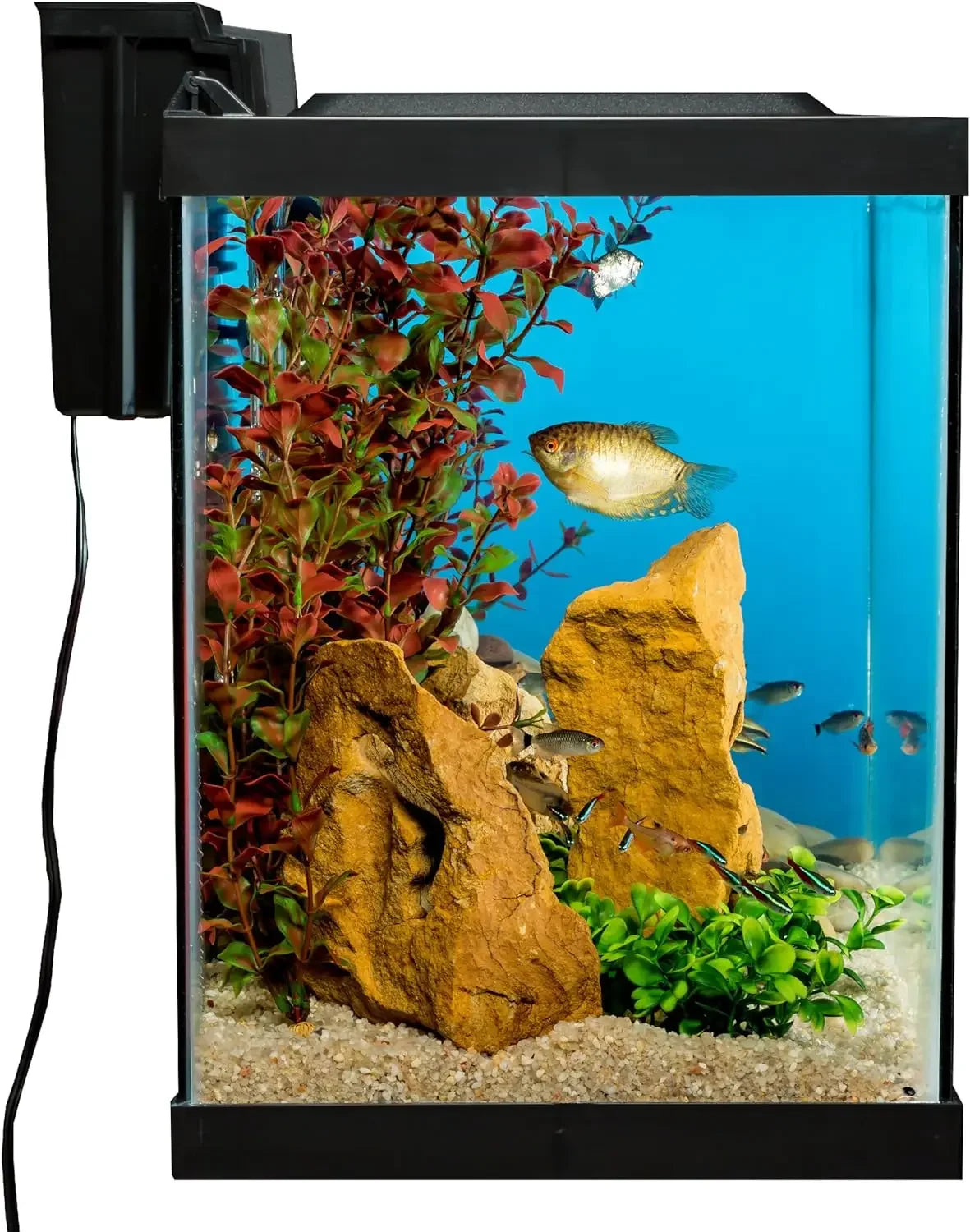 20 Gallon Fish Tank Kit