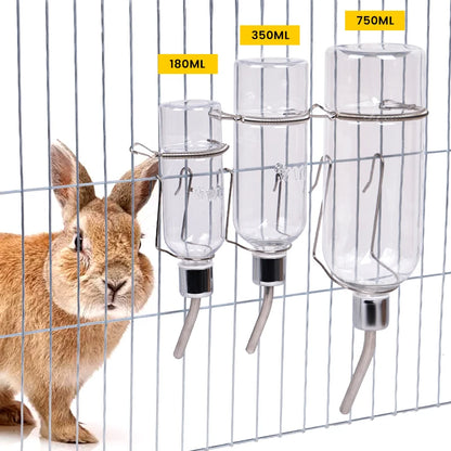 Rabbit Water Dispenser