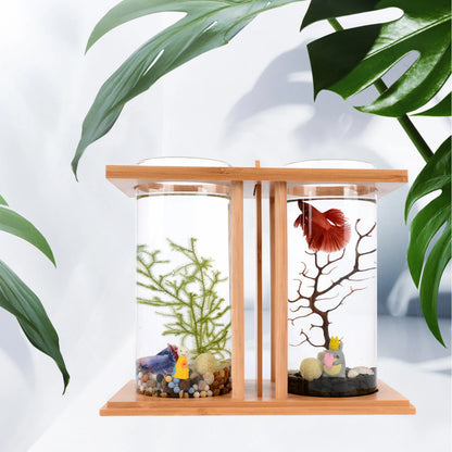 Mini Goldfish Bamboo Tank