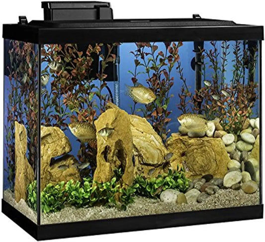 20 Gallon Fish Tank Kit