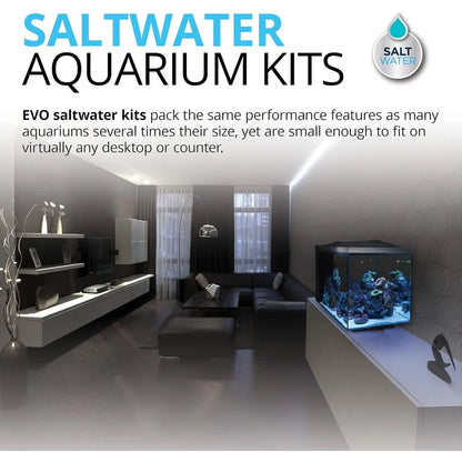 Seawater Aquarium Kit