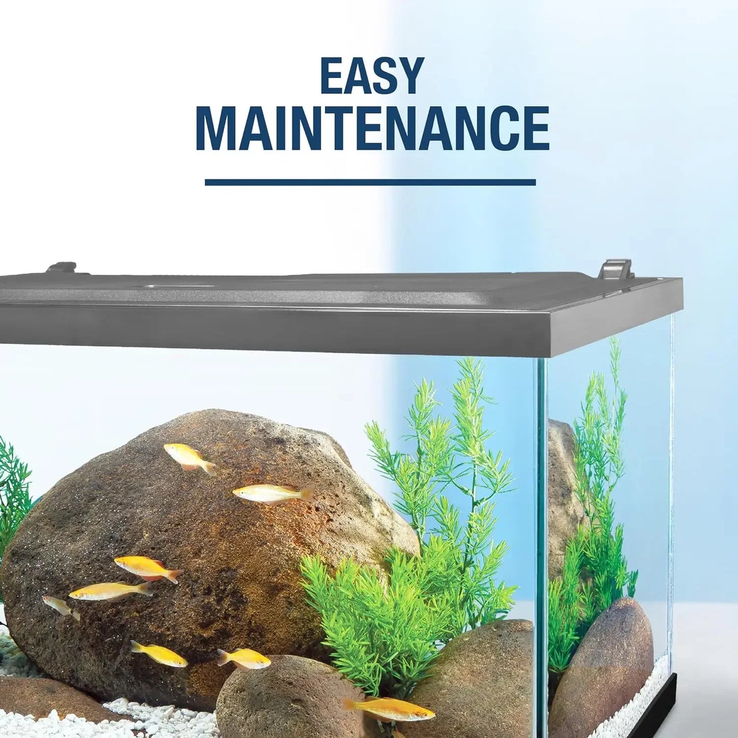 20 Gallon Fish Tank Kit