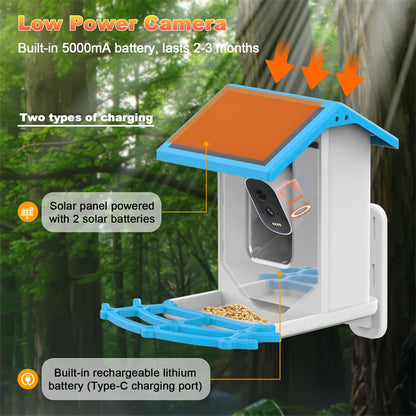 Smart Bird Feeder